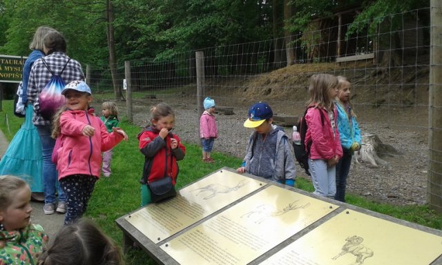 20170520_094733_resize